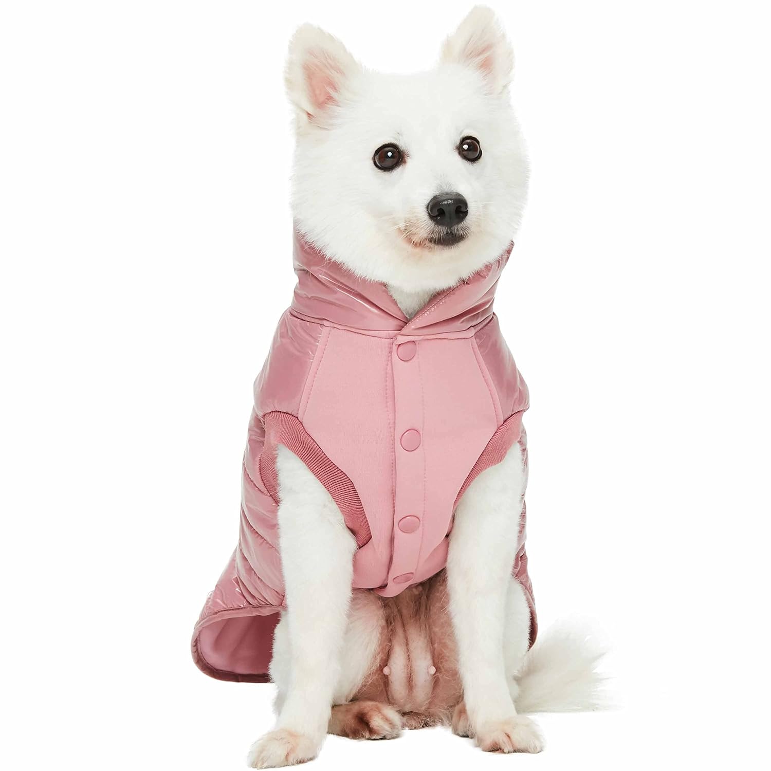 Blueberry Pet Blueberry Pet Lightweight Quilted Dog Puffer Jacket in Mauve Pink Size 10 Warm Coat for Small Dogs Back Length 12.5 Inches - View 9 of 9