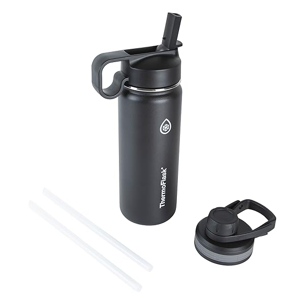 ThermoFlask ThermoFlask 18 oz Insulated Stainless Steel Water Bottle with Spout & Straw - Black
