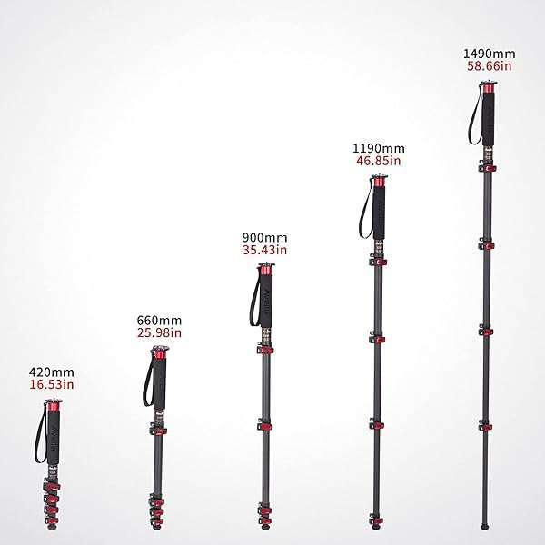 AVELLA "Avella C325 58" Carbon Fiber Monopod for Canon, Nikon, Sony DSLR - Lightweight & Durable" - View 7 of 11