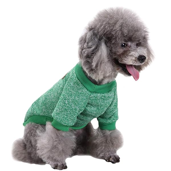 JECIKELON Jecikelon Dog Sweater Soft Winter Clothing for Small Dogs and Cats Warm Outfit in Green Large Size - View 3 of 6