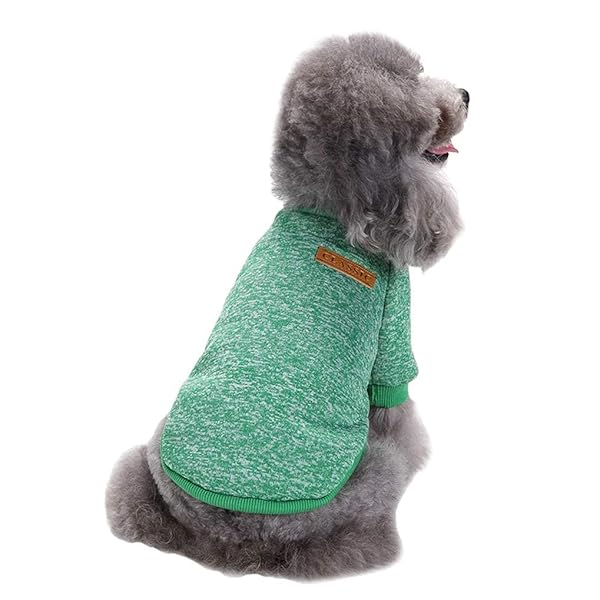 JECIKELON Jecikelon Dog Sweater Soft Winter Clothing for Small Dogs and Cats Warm Outfit in Green Large Size - View 6 of 6