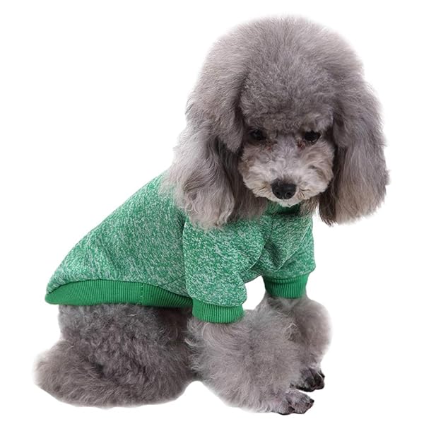 JECIKELON Jecikelon Dog Sweater Soft Winter Clothing for Small Dogs and Cats Warm Outfit in Green Large Size