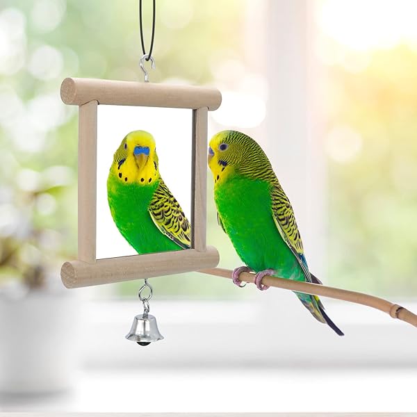 Wontee 4 PCS Bird Mirror with Bell Parrot Hanging Toy for Cockatiel Parakeets Canaries Budgie Cage Accessories - View 2 of 7