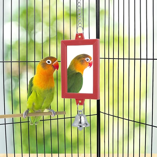 Wontee 4 PCS Bird Mirror with Bell Parrot Hanging Toy for Cockatiel Parakeets Canaries Budgie Cage Accessories - View 3 of 7