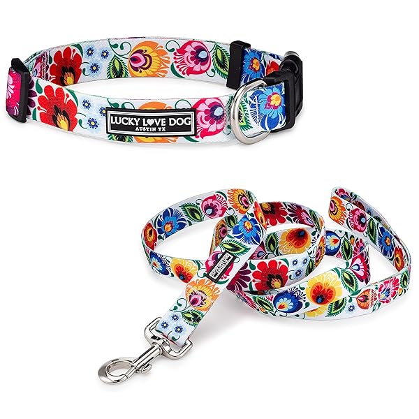 Lucky Love Dog Lucky Love Dog Easy Click Buckle Collar and Leash Set Durable Comfortable for All Dogs Secure Fit Ladybird Combo Medium