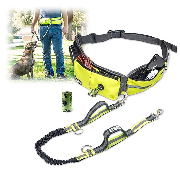 TAKSIN Taksin Ultimate Hands Free Dog Leash System for Walking Running Hiking Training with Reflective Bungee Leash Treat Holder and Poop Bag Dispenser
