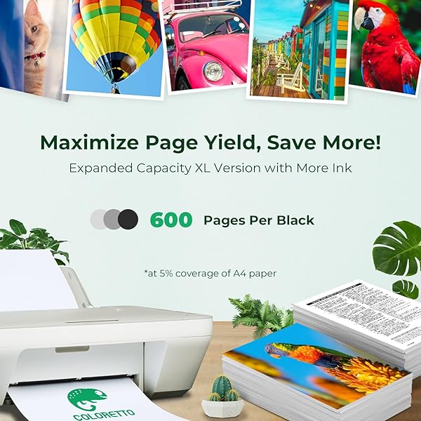 COLORETTO Coloretto Re-Manufactured Canon PG-240XXL Ink Cartridge for PIXMA MG Series and MX Series Printers 2 Black - View 3 of 6