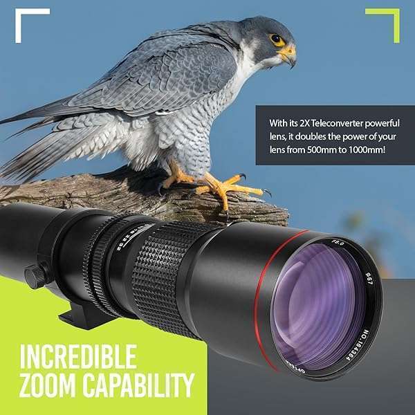 BM Premium High-Power 500mm/1000mm f/8 Telephoto Lens for Canon EOS R Series - Perfect for Wildlife & Sports Photography - View 4 of 10