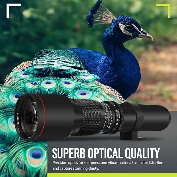 BM Premium High-Power 500mm/1000mm f/8 Telephoto Lens for Canon EOS R Series - Perfect for Wildlife & Sports Photography - View 7 of 10