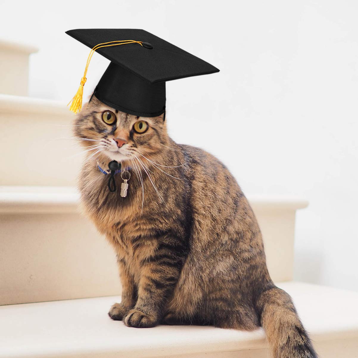 POPETPOP POPETPOP Pet Graduation Cap - Stylish Dog & Cat Hats with Yellow Tassel for Graduation Parties - View 3 of 9