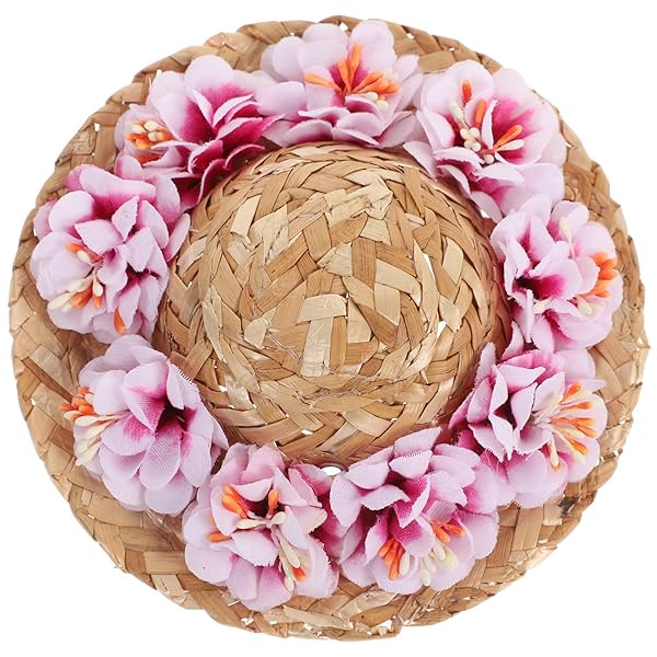 POPETPOP Stylish Dog & Cat Hats: Summer Straw Hats, Party Hats & Braid Jewelry for Pets