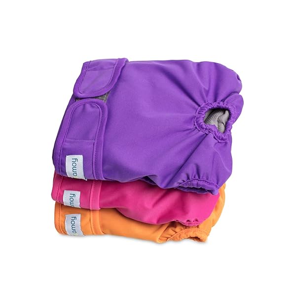 Teamoy Teamoy 3pcs Washable Female Dog Diapers Super Absorbent Comfortable Reusable Wraps for Female Dogs with Gray Lining Size M