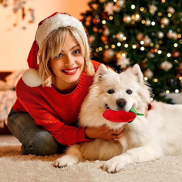 POPETPOP POPETPOP Squeaky Strawberry Dog Toy 2Pcs Interactive Plush Chew Toys for Small Medium Dogs Perfect for Teething and Playtime - View 3 of 6