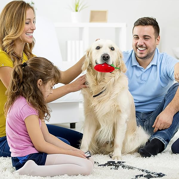 POPETPOP POPETPOP Squeaky Strawberry Dog Toy 2Pcs Interactive Plush Chew Toys for Small Medium Dogs Perfect for Teething and Playtime - View 4 of 6