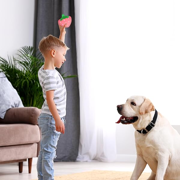 POPETPOP POPETPOP Squeaky Strawberry Dog Toy 2Pcs Interactive Plush Chew Toys for Small Medium Dogs Perfect for Teething and Playtime - View 5 of 6