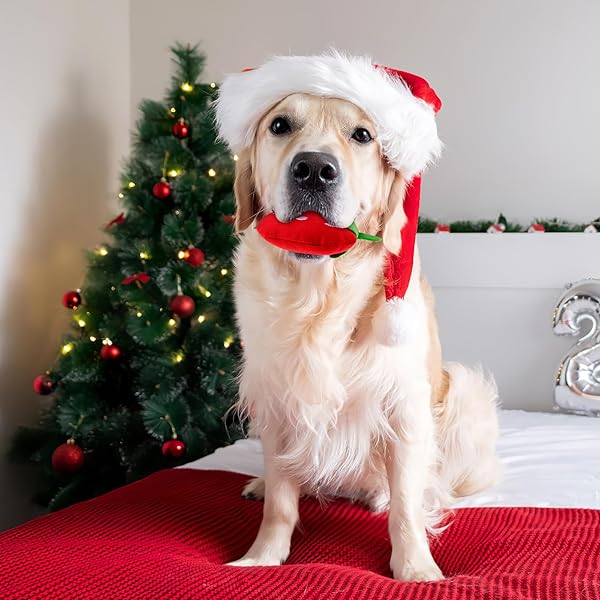 POPETPOP POPETPOP Squeaky Strawberry Dog Toy 2Pcs Interactive Plush Chew Toys for Small Medium Dogs Perfect for Teething and Playtime - View 6 of 6