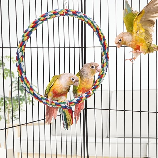 Wontee Colorful Bird Rope Swing Climbing Toy for Parrots Budgie Parakeet Cockatiel Cockatoo Conure Size M 10.4 Inch - View 2 of 7