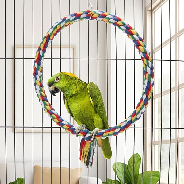 Wontee Colorful Bird Rope Swing Climbing Toy for Parrots Budgie Parakeet Cockatiel Cockatoo Conure Size M 10.4 Inch - View 4 of 7