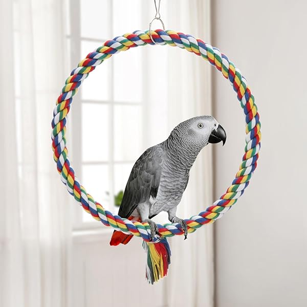 Wontee Colorful Bird Rope Swing Climbing Toy for Parrots Budgie Parakeet Cockatiel Cockatoo Conure Size M 10.4 Inch - View 6 of 7