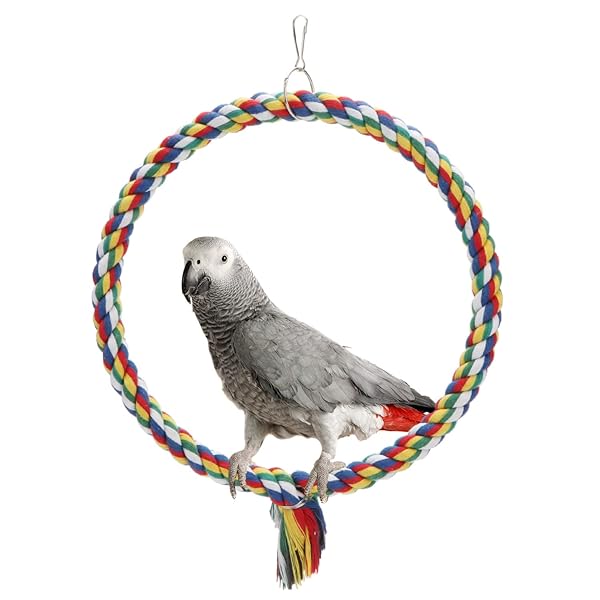 Wontee Colorful Bird Rope Swing Climbing Toy for Parrots Budgie Parakeet Cockatiel Cockatoo Conure Size M 10.4 Inch