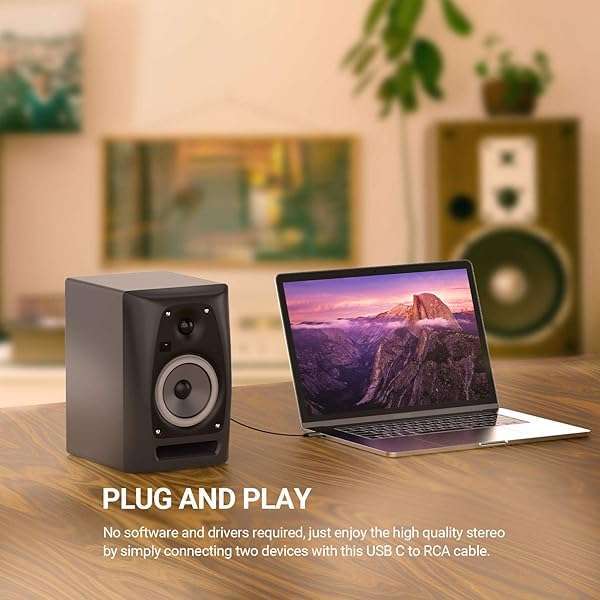 Cubilux Buy Cubilux USB C to Dual RCA Audio Cable for iPhone 15, iPad, Samsung Galaxy - 3 Feet Stereo Aux Cord - View 2 of 5