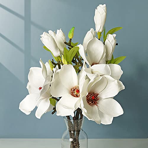 LIUCOGXI 6 Pcs White Silk Magnolia Flowers - Elegant Home & Office Centerpiece Bouquets