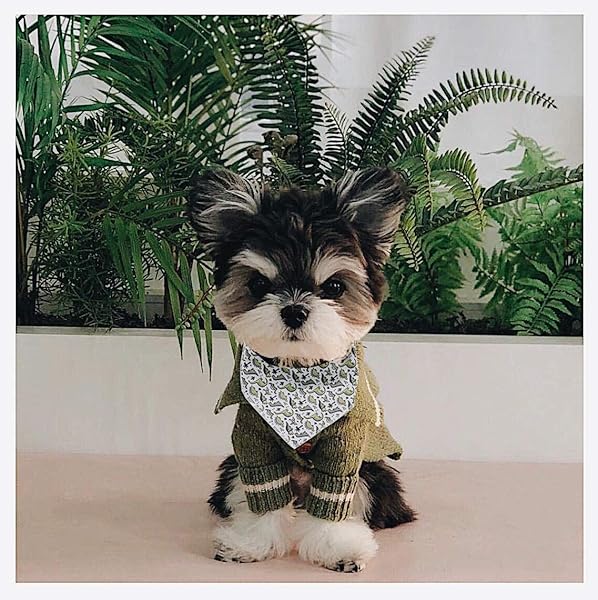 Aring pet ARING PET Cotton Dog and Cat Bandanas Triangle Bibs Scarf for Small to Large Pets - View 4 of 7