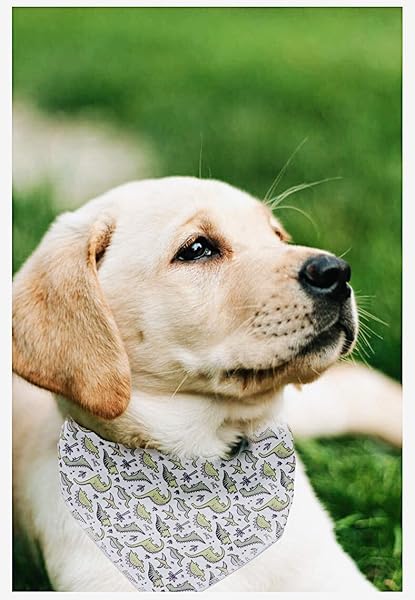 Aring pet ARING PET Cotton Dog and Cat Bandanas Triangle Bibs Scarf for Small to Large Pets - View 5 of 7