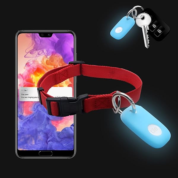 KJGLRSQH Glow Case for Tile Pro 2022 2-Pack Glow in Dark Bluetooth Tracker Cover for Key Finder and Pet Collar Accessories Green and Blue - View 4 of 10