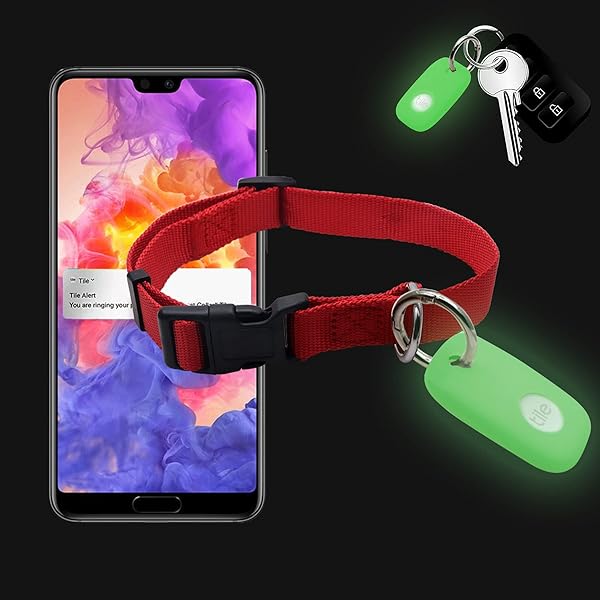 KJGLRSQH Glow Case for Tile Pro 2022 2-Pack Glow in Dark Bluetooth Tracker Cover for Key Finder and Pet Collar Accessories Green and Blue - View 5 of 10