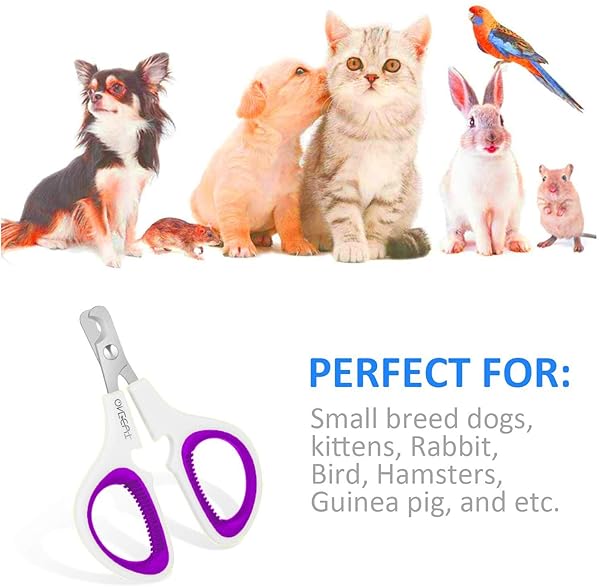 OneCut OneCut Pet Nail Clippers Update Version for Cats Kittens Puppies Rabbits and Small Dogs Sharp Safe Trimming Tool in Purple - View 5 of 8
