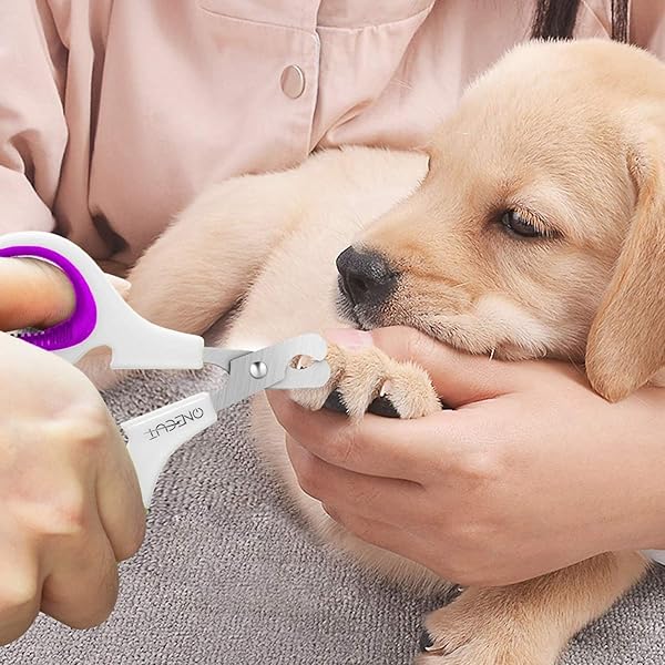 OneCut OneCut Pet Nail Clippers Update Version for Cats Kittens Puppies Rabbits and Small Dogs Sharp Safe Trimming Tool in Purple - View 6 of 8