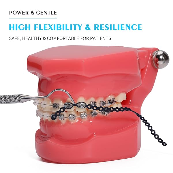 ANNWAH ANNWAH Colorful Orthodontic Braces Rubber Chains for Effective Dental Treatment Long Blue 15 Power Chains - View 2 of 6