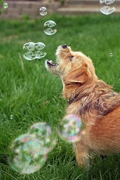 Bubbletastic Peanut Butter Scented Bubbles for Dogs and Kids Non Toxic Tear Free Safe 5 Pack - View 5 of 8