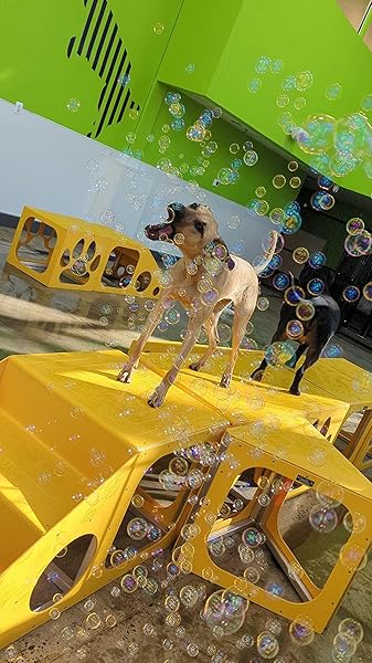 Bubbletastic Peanut Butter Scented Bubbles for Dogs and Kids Non Toxic Tear Free Safe 5 Pack - View 7 of 8