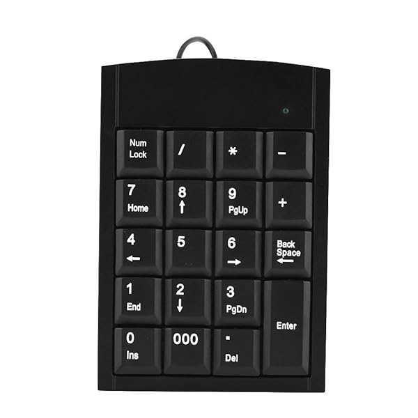 Wendry Portable Wired USB Number Pad - 19 Keys Mini Keypad for Laptop & Desktop | Plug & Play External Numeric Keyboard