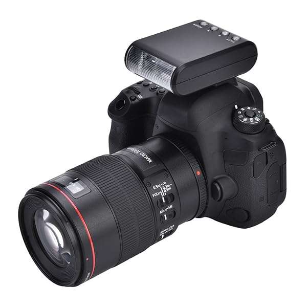 Mini Flashlight Speedlite: Portable On-Camera Flash for DSLR with Hot Shoe Mount