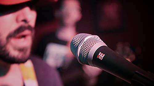 SE ELECTRONICS SE Electronics V7 Studio Grade Handheld Microphone - Supercardioid Chrome for Superior Sound - View 8 of 8