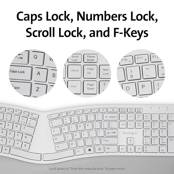 Kensington Buy Kensington Pro Fit Ergonomic Wireless Keyboard & Mouse - Grey (K75407US) for Comfort & Efficiency - View 11 of 11