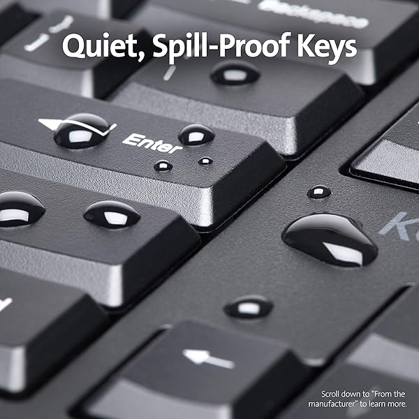 Kensington Buy Kensington Pro Fit Ergonomic Wired Keyboard (K75400US) - Comfortable Black Design for Enhanced Productivity - View 6 of 8