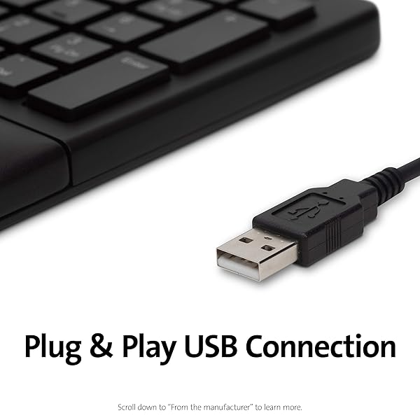 Kensington Buy Kensington Pro Fit Ergonomic Wired Keyboard (K75400US) - Comfortable Black Design for Enhanced Productivity - View 8 of 8