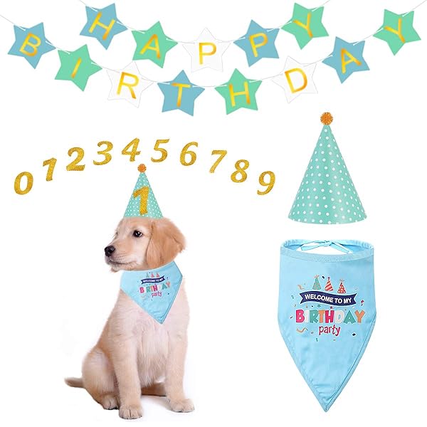 POPETPOP POPETPOP Dog Birthday Party Supplies Creative Bandana Hat and Happy Birthday Banner for Dog and Cat Celebrations