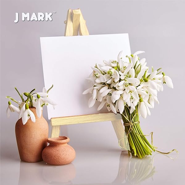 J MARK J MARK Painting Kit: Complete Acrylic Paint Set with Canvases, Brushes & Palette for Artists - View 10 of 10