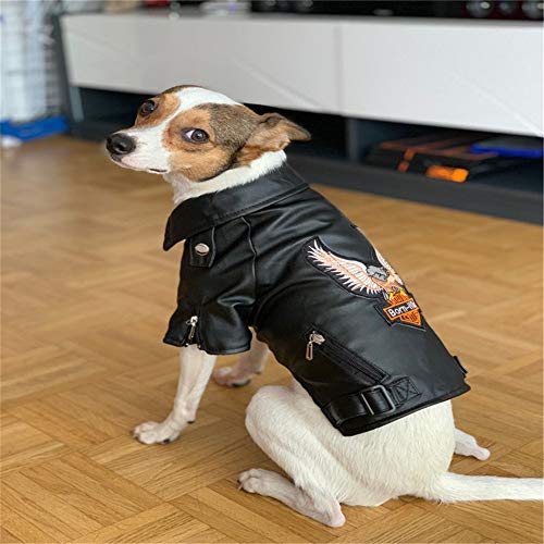 Siooyito Warm Dog Jackets Winter Coats for Small Medium Dogs Windproof Waterproof Puppy Clothes Leather Jackets for Chihuahua Yorkie Black XXL