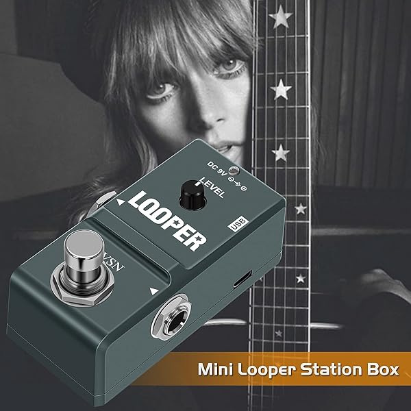 VSN VSN 48K Looper Electric Guitar Effect Loop Pedal with 10 Minutes Looping Unlimited Overdubs and True Bypass USB Port - View 9 of 11