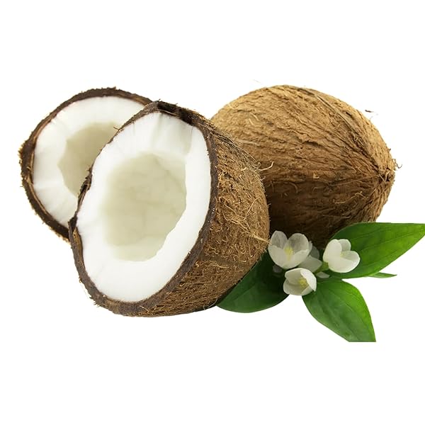 Barefoot Venus Barefoot Venus Playing Footsie Natural Coconut Milk Foot Soak Epsom Salt 200 Grams for Relaxation and Pampering - View 3 of 5