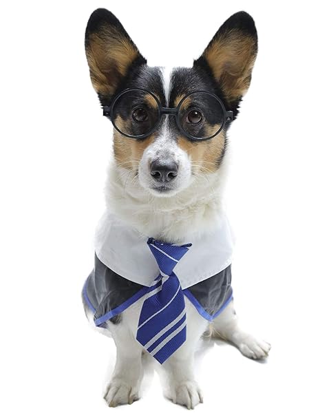 Impoosy Impoosy Pet Halloween Dog Shirt Funny Cat Wizard Costume Cute Soft Clothes with Glasses for Large Dogs Neck 18 Inches - View 4 of 7