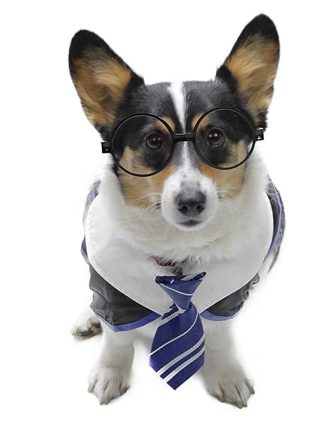 Impoosy Impoosy Pet Halloween Dog Shirt Funny Cat Wizard Costume Cute Soft Clothes with Glasses for Large Dogs Neck 18 Inches - View 5 of 7
