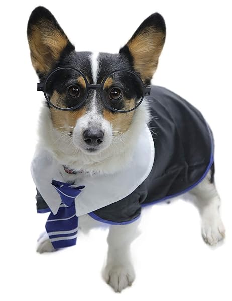 Impoosy Impoosy Pet Halloween Dog Shirt Funny Cat Wizard Costume Cute Soft Clothes with Glasses for Large Dogs Neck 18 Inches - View 6 of 7