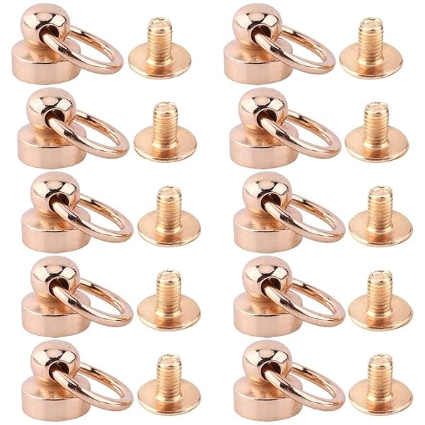 Hztyyier 10pcs D-Ring Rivet Studs Screw Brass Round PullRivets Studs Chicago Stud Screw 360 Degree Rotate Ball Post Head Buckles